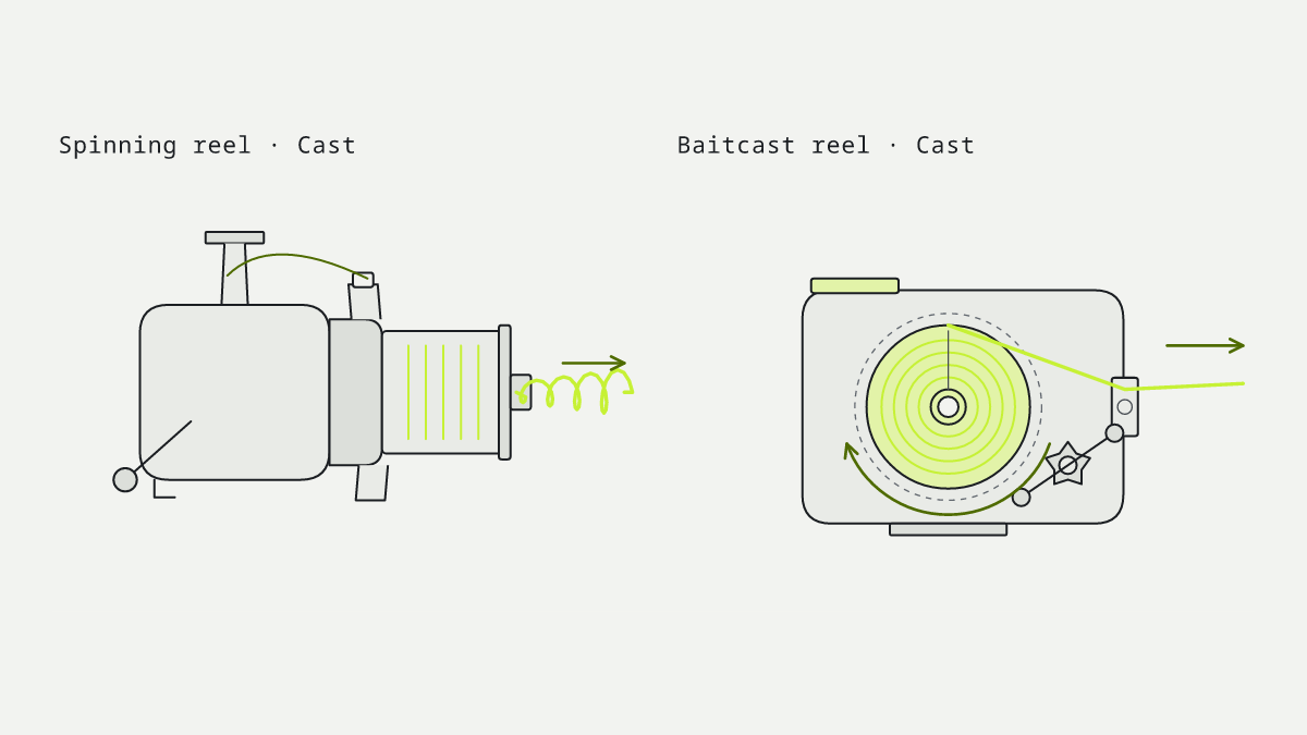 Diagram of the spinning reel and baitcast reel side by side at the cast stage, with the fishing line and the parts that move highlighted.